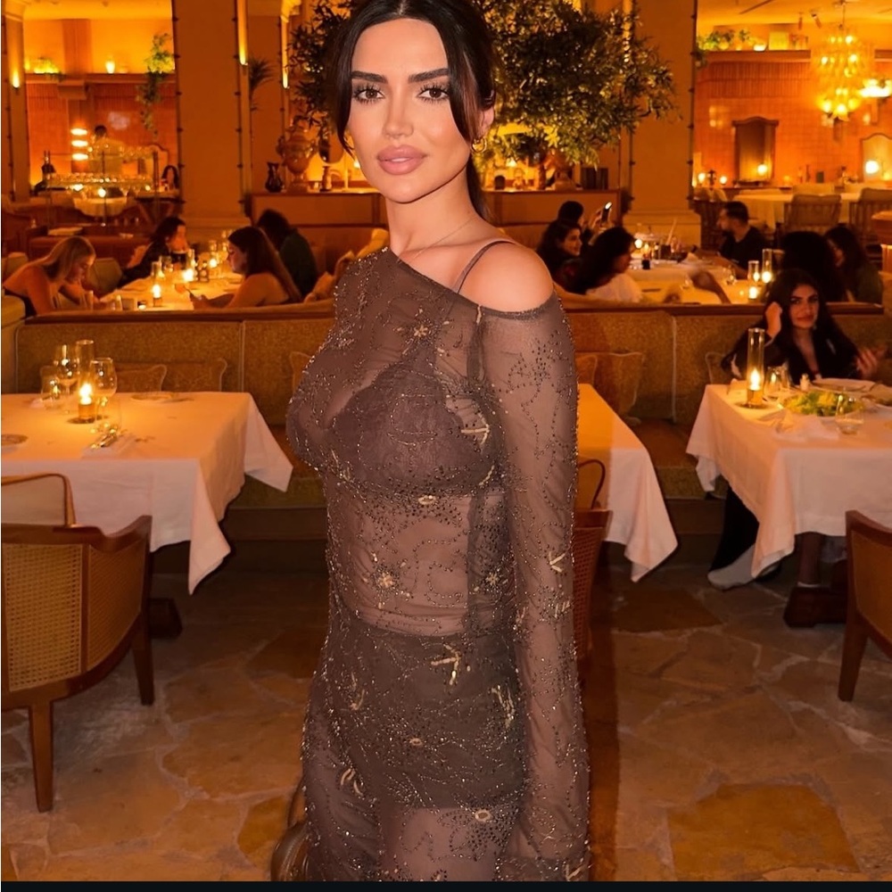 🆕(NWT) ZARA **VIRAL** Embroidered Sequin Beaded Tulle Top and Pants Set. SMALL - Picture 2 of 15